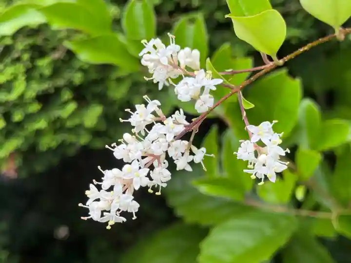 西方山極楽寺(岐阜県)