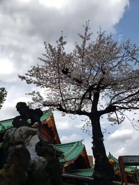 神田神社(神田明神)の自然