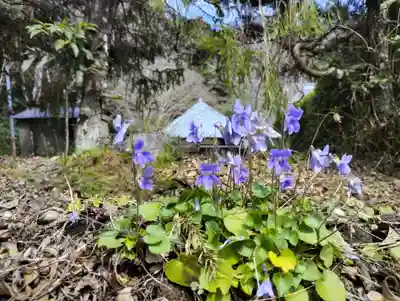 小松寺(千葉県)
