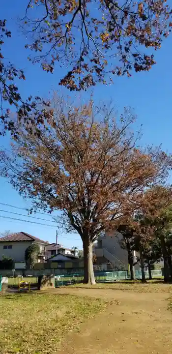 庚申神社の周辺
