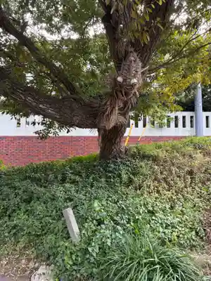 国府台天満宮(千葉県)