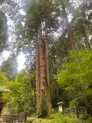 御岩神社(茨城県)