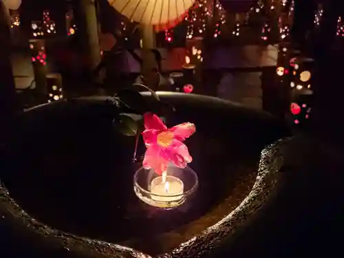 金剛乗寺の自然