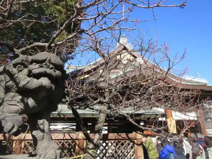 湯島天満宮(東京都)