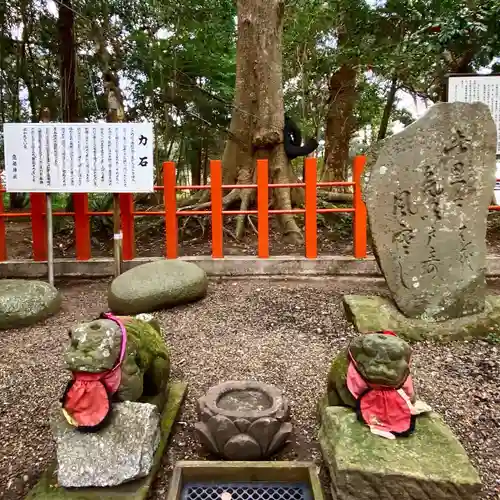 息栖神社の狛犬