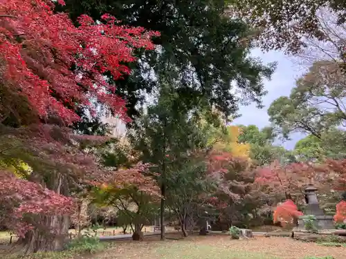 淨眞寺(東京都)