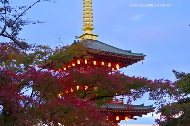 高幡不動尊 金剛寺(東京都)