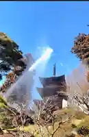 国宝 大法寺(長野県)