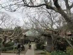 極楽寺（霊鷲山感應院極楽律寺）の建物その他