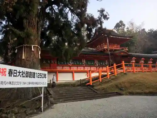 春日大社の本殿