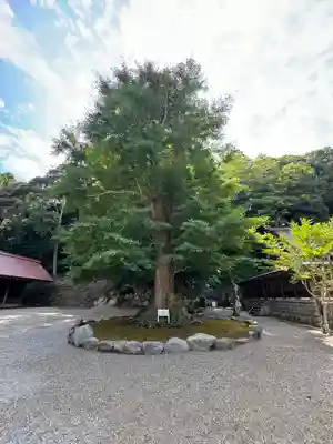 安房神社(千葉県)