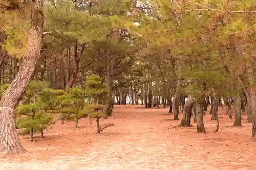 綱敷天満神社(愛媛県)
