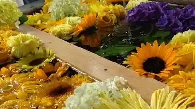 札幌諏訪神社の手水舎