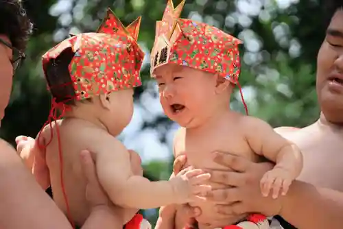 隠津島神社の体験その他