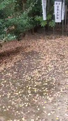 白旗神社(西御門)(神奈川県)
