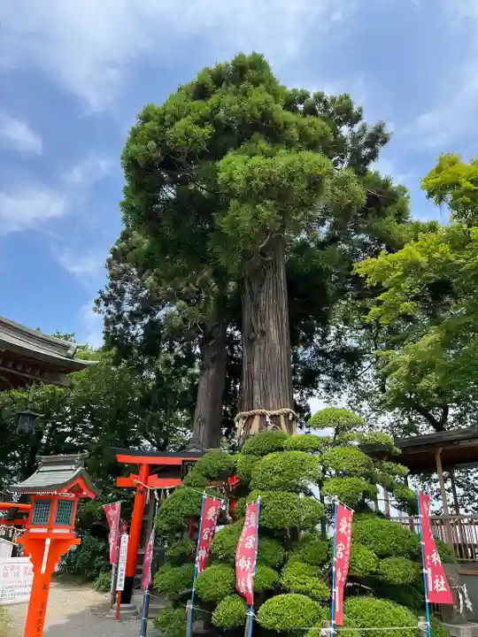 愛宕神社(宮城県)