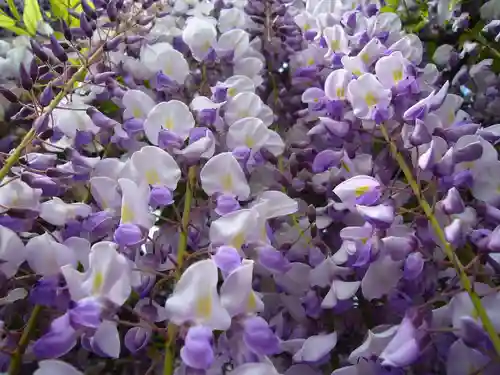 玉敷神社(埼玉県)