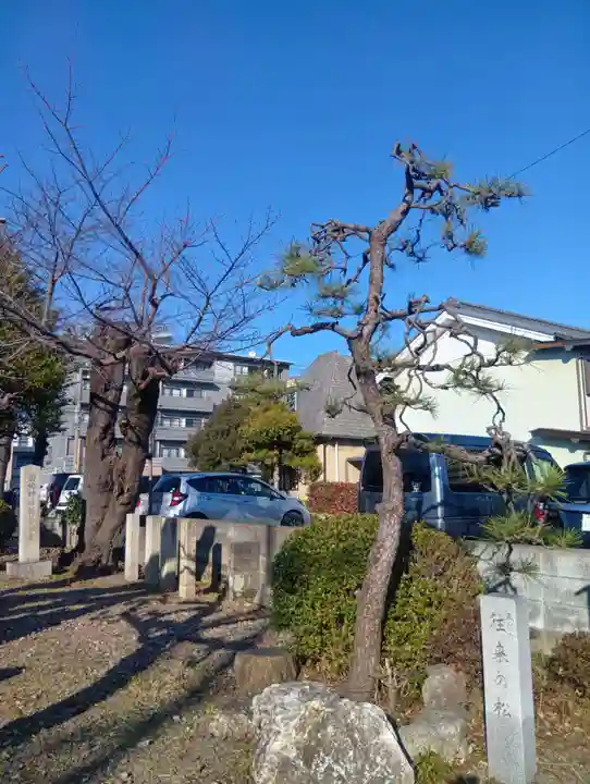 菊地神社(岐阜県)