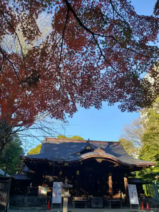 渋谷氷川神社(東京都)