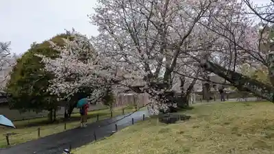 醍醐寺(京都府)