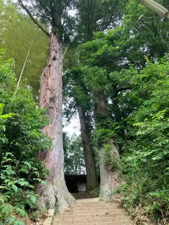熊野神社(茨城県)