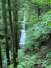 若子神社の自然