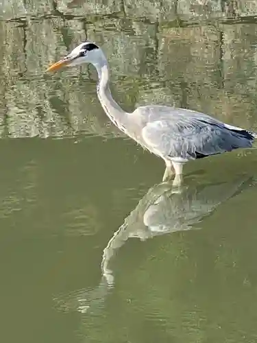 東寺（教王護国寺）(京都府)