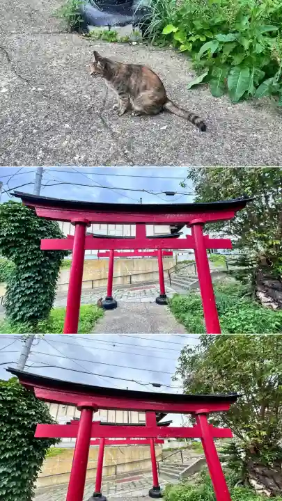 入舟稲荷神社(北海道)