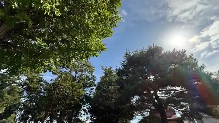 上磯八幡宮(北海道)