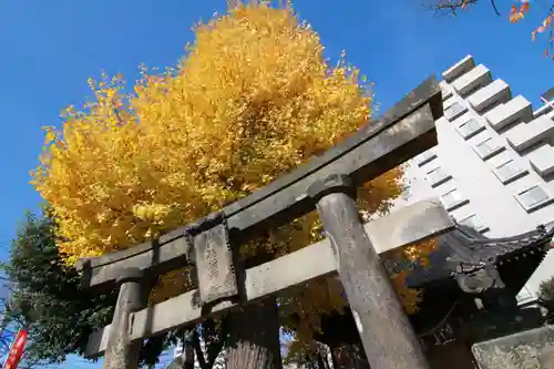 晴門田神社の鳥居