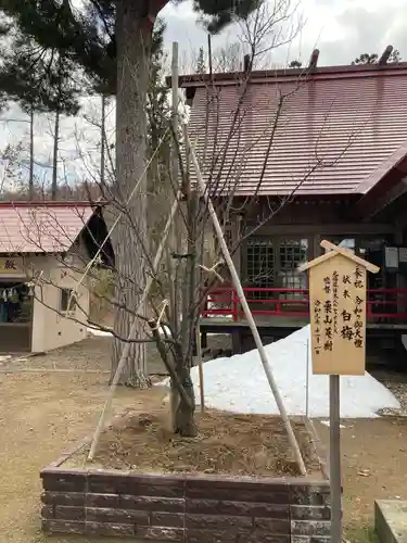 仁木神社の自然