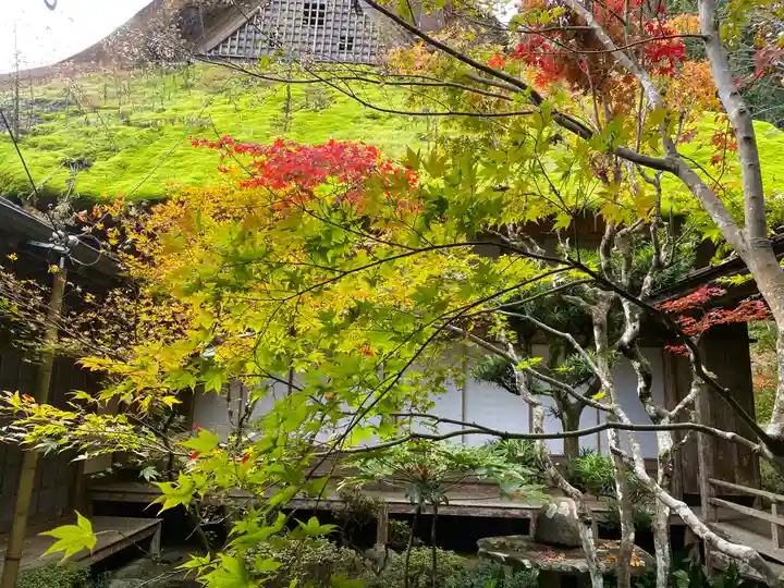 慧日寺(兵庫県)
