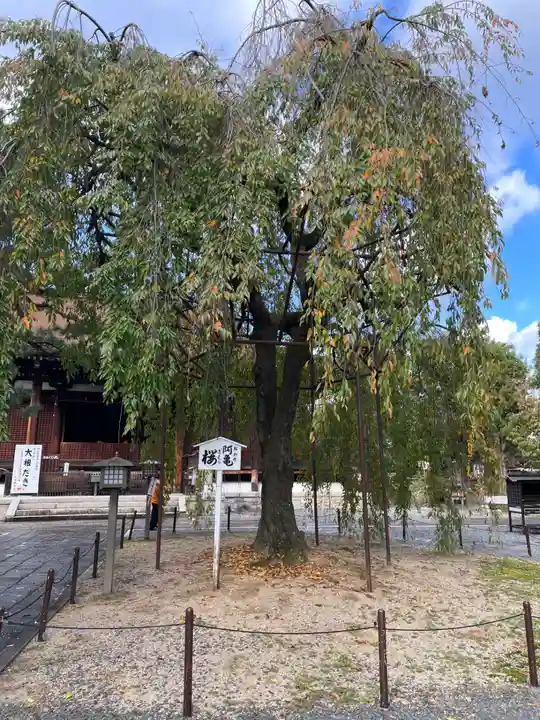 大報恩寺(千本釈迦堂)(京都府)