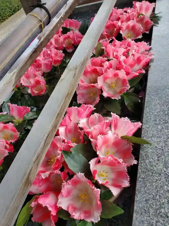 豊景神社(福島県)