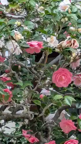 西方寺(京都府)