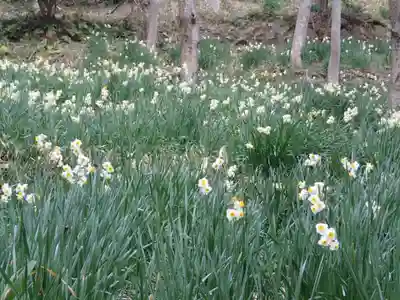 鐸比古鐸比賣神社旧社地の自然