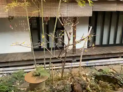 遠照山 光明寺（尼崎大仏）(兵庫県)