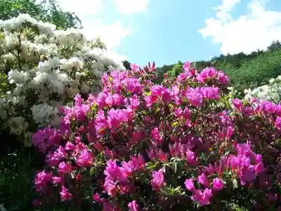 五大尊堂(長徳寺)の自然