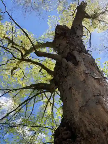 新海三社神社(長野県)