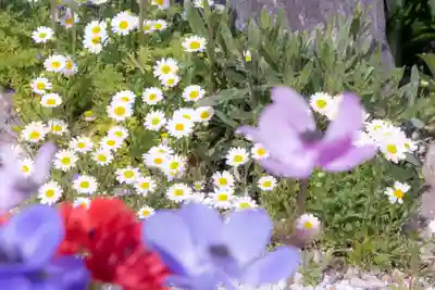 水堂須佐男神社(兵庫県)