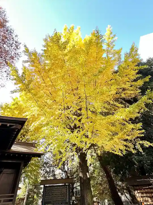 金王八幡宮(東京都)