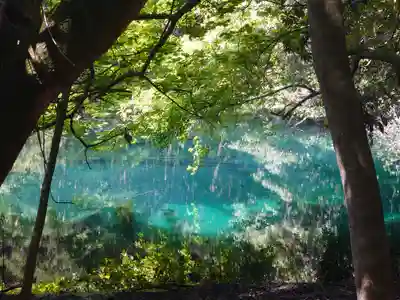 丸池神社(山形県)