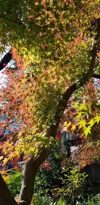 香取神社の自然