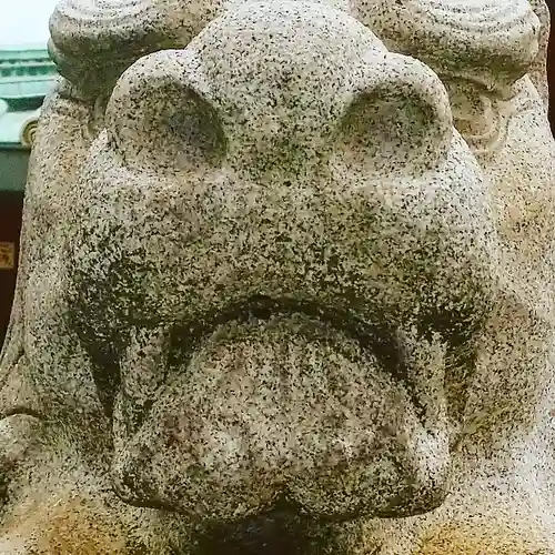 神田神社（神田明神）の狛犬