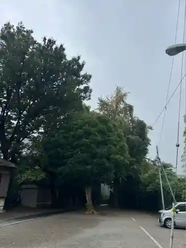 日吉神社(神奈川県)