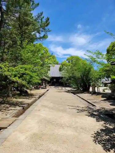 大樹寺（松安院大樹寺）(愛知県)