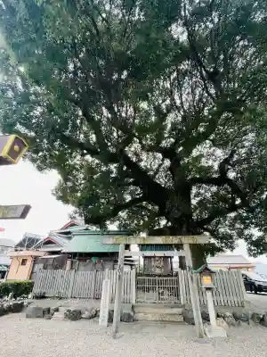 豊玉神社遥拝所(中社跡)(三重県)