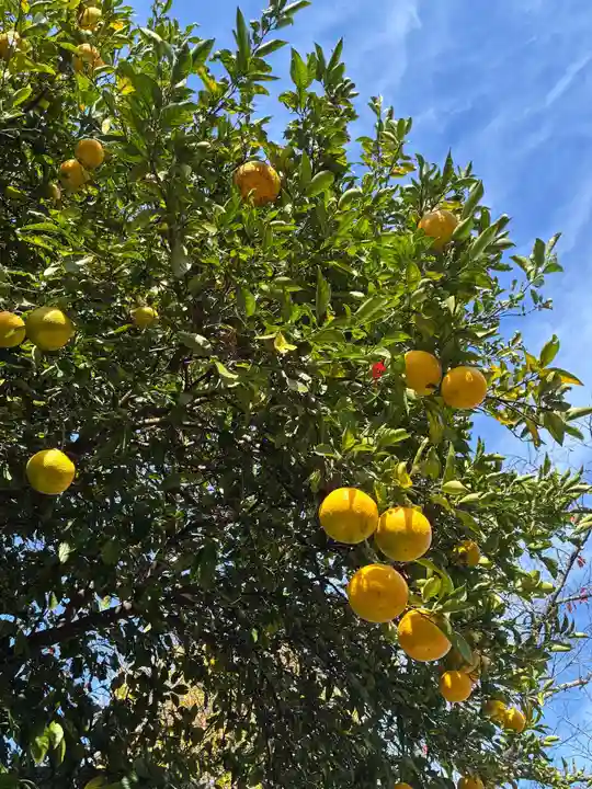 鷲神社(茨城県)