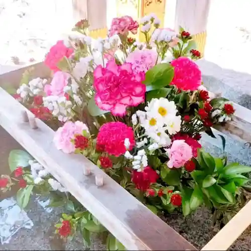 彌彦神社　(伊夜日子神社)の手水舎