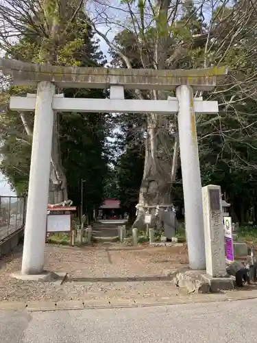 智賀都神社(栃木県)